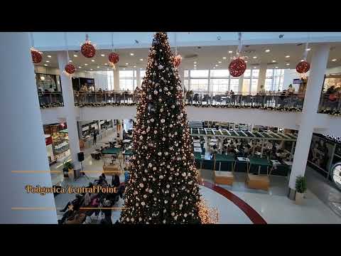 Central Point Podgorica